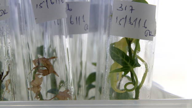 _91965412_4ca256bd-2c72-4285-a9d1-d211a2f8a1e3