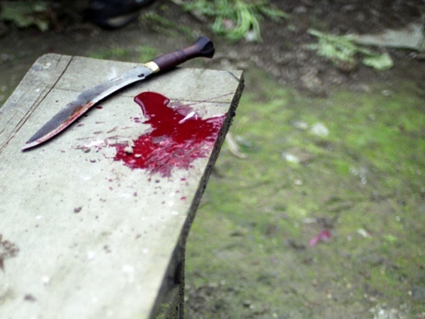 भुपु प्रहरीद्वारा आफ्नै भाउजूको हत्या…