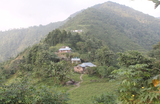 धरान स्थित शिखरबासलाई मिनी भेडेटार बनाउने अभियान…