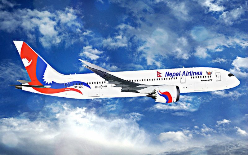 बैंग्लोरमा वाइडबडी माहुरीको आक्रमणमा परेपछि….