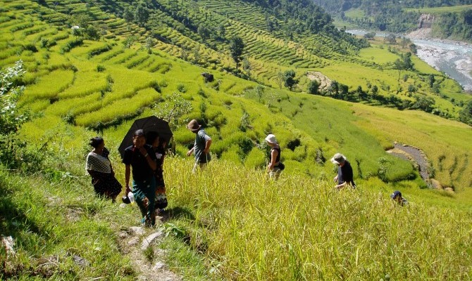 सफलताको कथा : भारतीय सेनाका निवृत्त आले कृषि पेशाबाट ६ लाख कमाउँदै