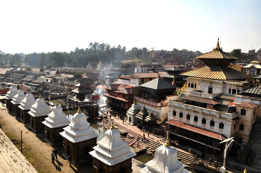 पशुपतिमा गुठीको गोलमाल