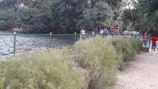 घोडाघोडीमा पर्यटकको सङ्ख्यामा कमी