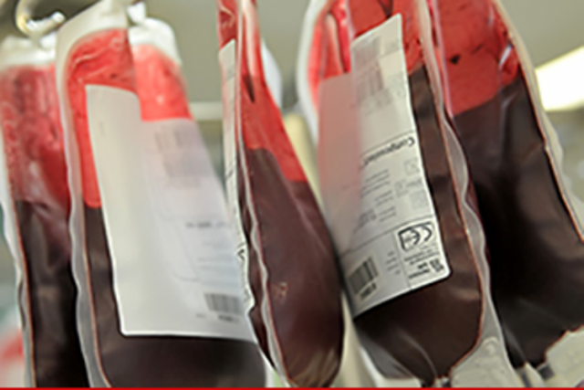 रक्तसञ्चार केन्द्र स्थापना गर्न सहयोग