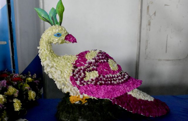 राजधानीमा आजदेखि पुष्प मेला शुरु