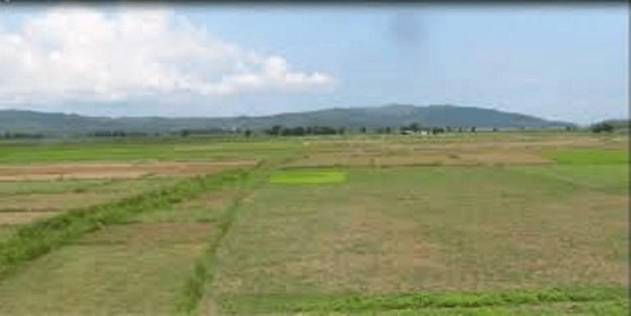खाली जग्गा अतिक्रमण गर्ने खोज्ने लखेटिए