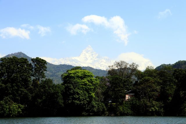 माछापुच्छ्रे«लाई कुमारी रहन दिने कि नदिने ?