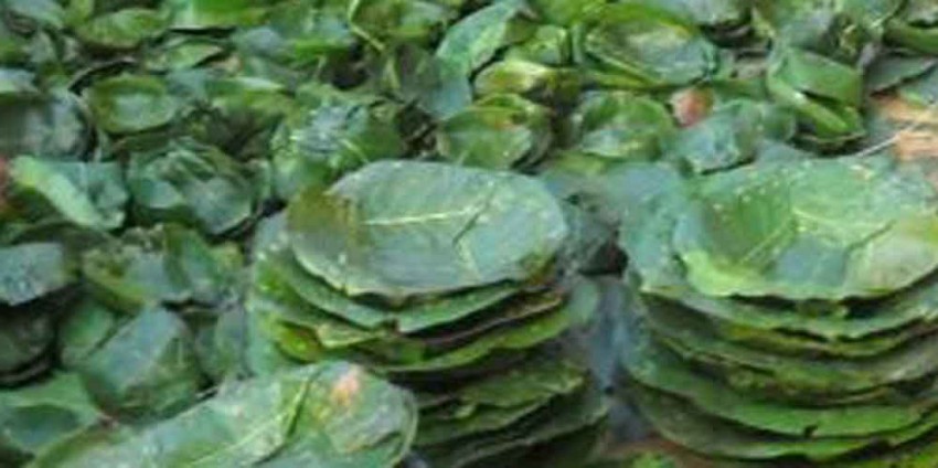 दुनाटपरीबाटै आत्मनिर्भर