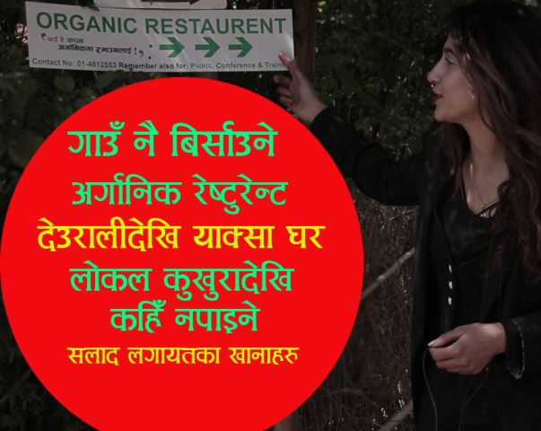 बासमती सागदेखि लोकल खसी र कुखुरा पाइने काठमाडौँ भित्रको अर्गानिक फार्म हाउस (भिडियो)