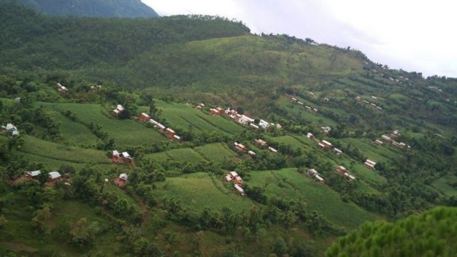 विषालु च्याउ खाँदा दुईको मृत्यु, ९ बिरामी