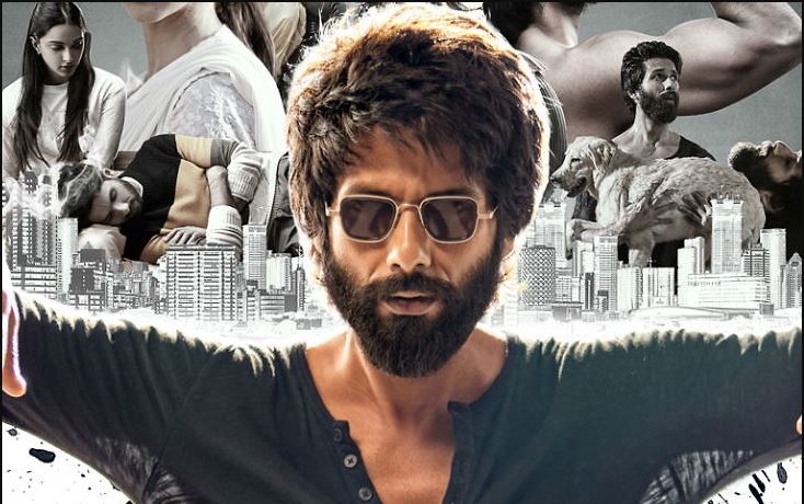 ‘कबीर सिंह’ले तोड्यो शाहिद कपूरको करिअरका सबै रेकर्ड, पद्मावतको पनि रेकर्ड तोडियो