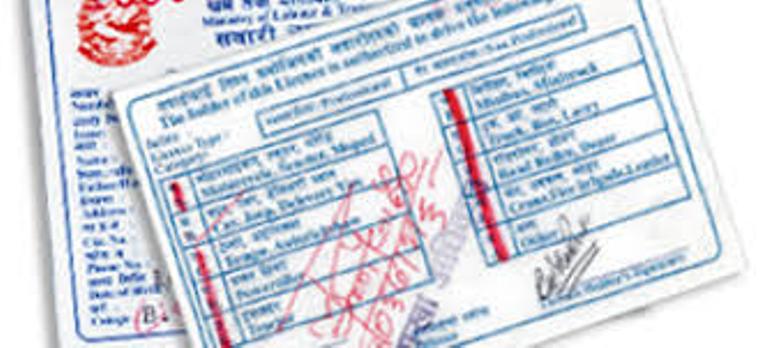 मापसेमा ४३९ चालकको लाइसेन्स निलम्बन