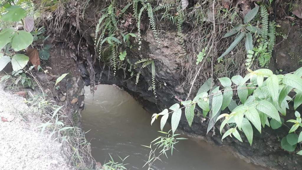 ओझेलमा कठबेरुवा झरना