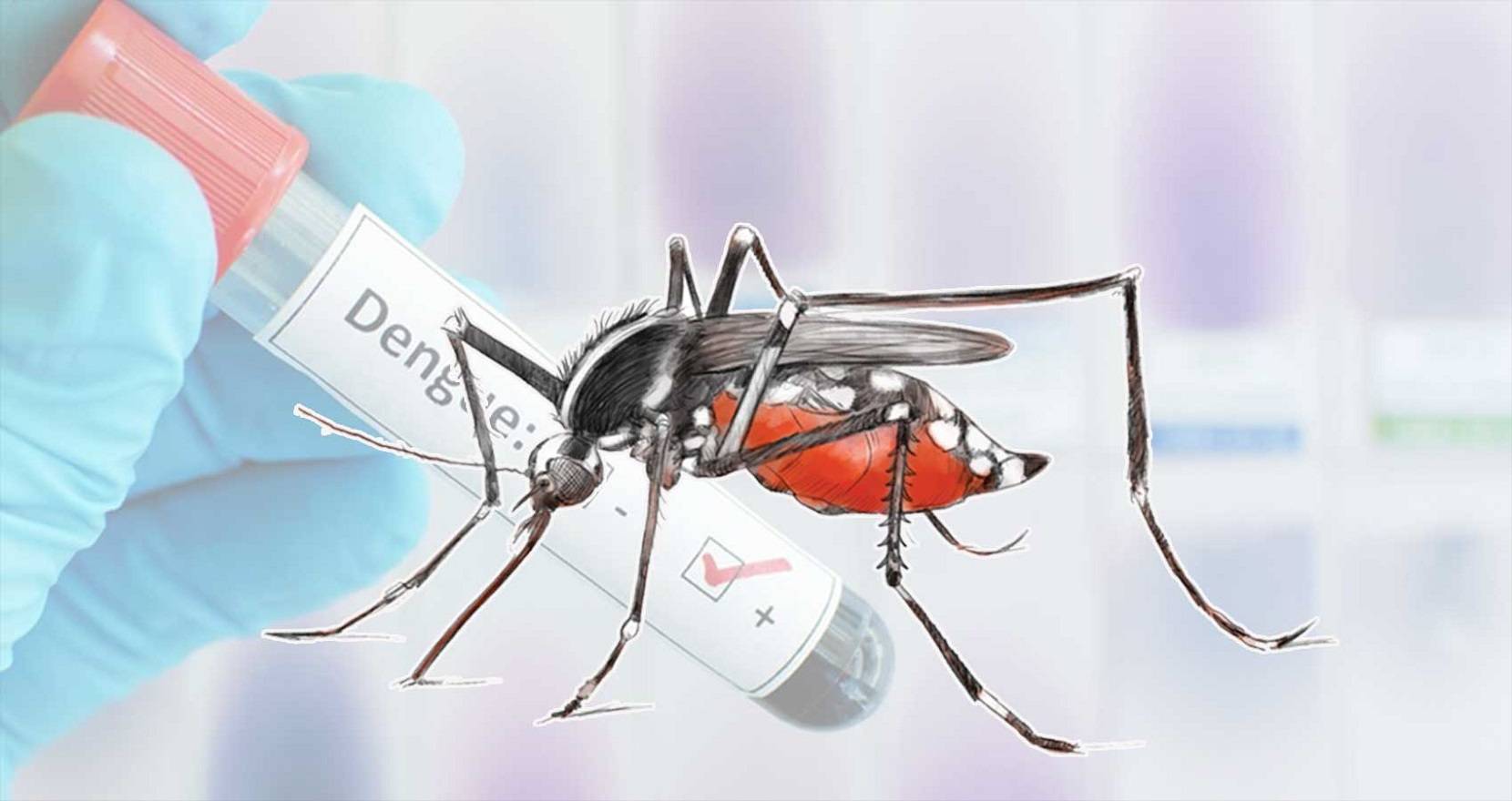 अस्पतालमा चाप यथावत्, डेङ्गु रोगबारे जनमानसमा ज्ञानको कमी
