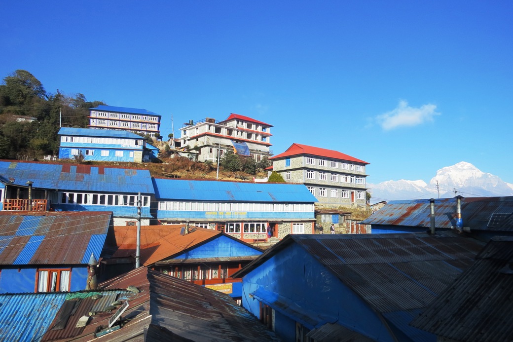 अरिङ्गालको परिकार ग्राहकको रोजाइमा