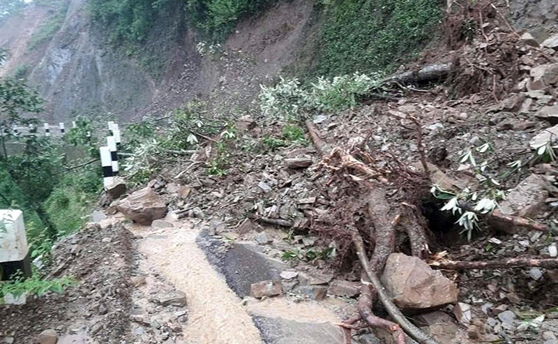 पहिरामा पुरिएर चालकको मृत्यु