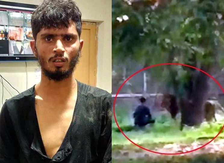 चिडियाखानामा एक युवक सिंहको अगाडि हाम्फाले,तैपनि सिंहले केही गरेन!