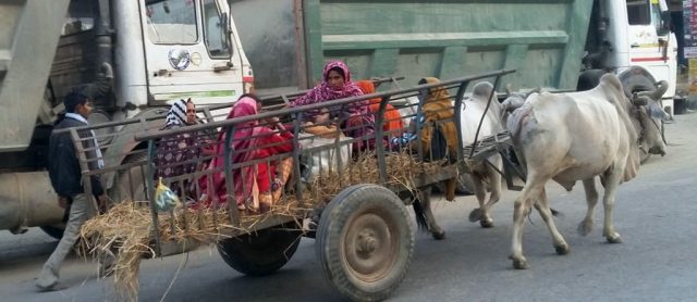 गर्भवती बोक्ने एम्बुलेन्स लडिया र बुकी