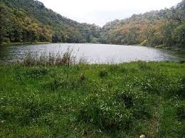 टुँडीमा ताल निर्माण शुरु