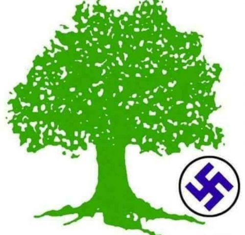 भक्तपुरमा काँग्रेसको अग्रता