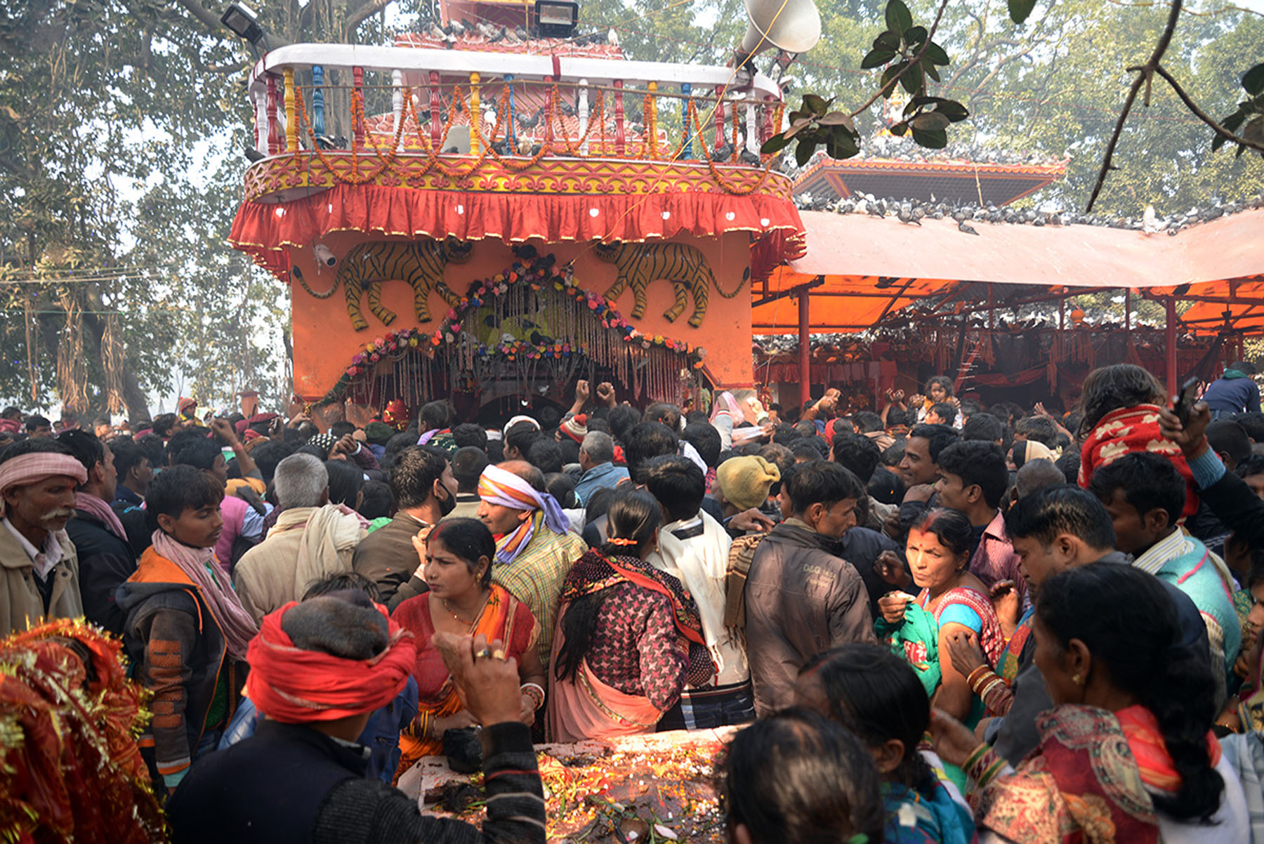 गढिमाई मेलामा बलि दिनुपूर्व गरिन्छ यस्ता कठिन विधि