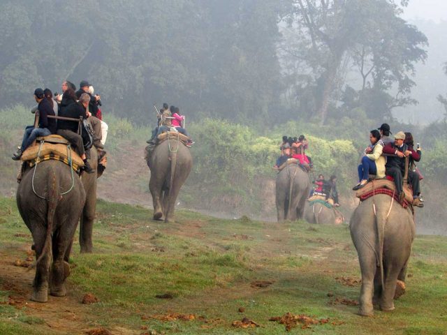 निकुञ्ज घुम्ने पर्यटक बढे
