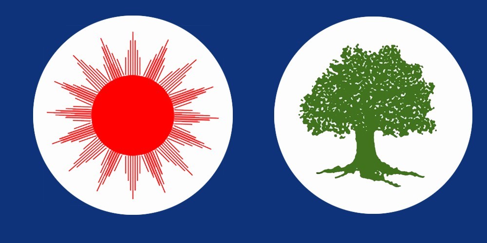 उपनिर्वाचन : कसले, कहाँ–कहाँ जिते