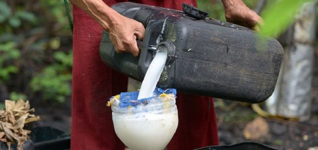 नरिवलको रक्सी खाँदा आठ जनाको मृत्यु, सयौँ अस्पताल भर्ना