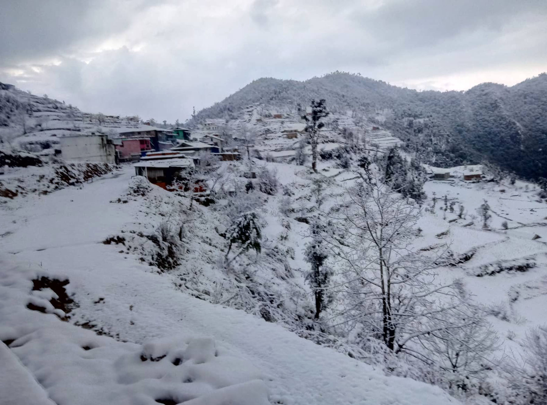 बाजुरामा हिमपात शुरु