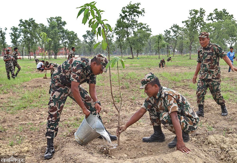 छोराछोरी सरह बिरुवा हुर्काउँदै नेपाली सेना