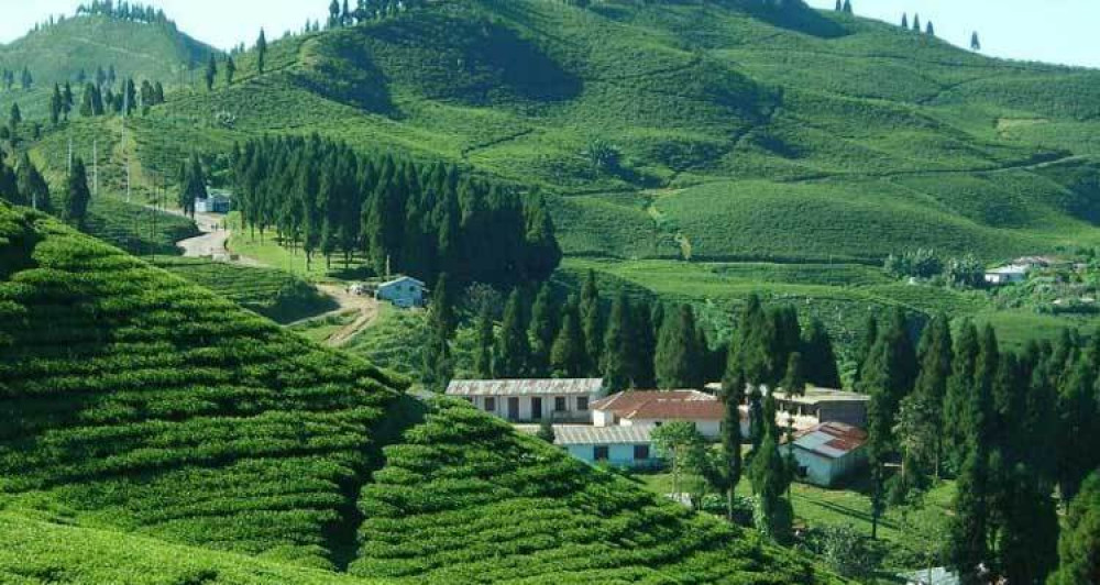घुम्नैपर्ने पर्यटकीयस्थल इलामको छिन्टापु