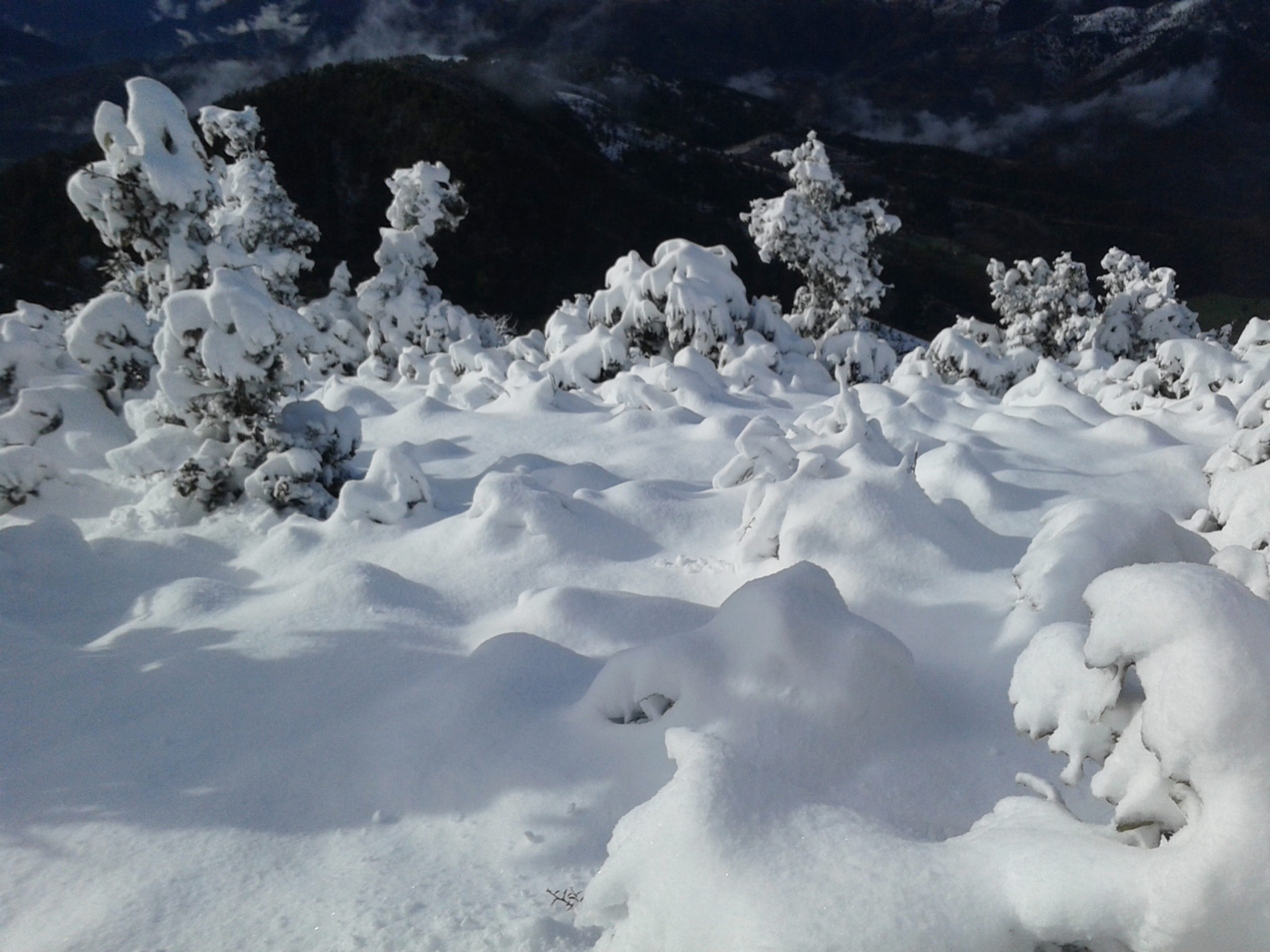 हिमपातले टेलिफोन र बिजुली अवरुद्ध