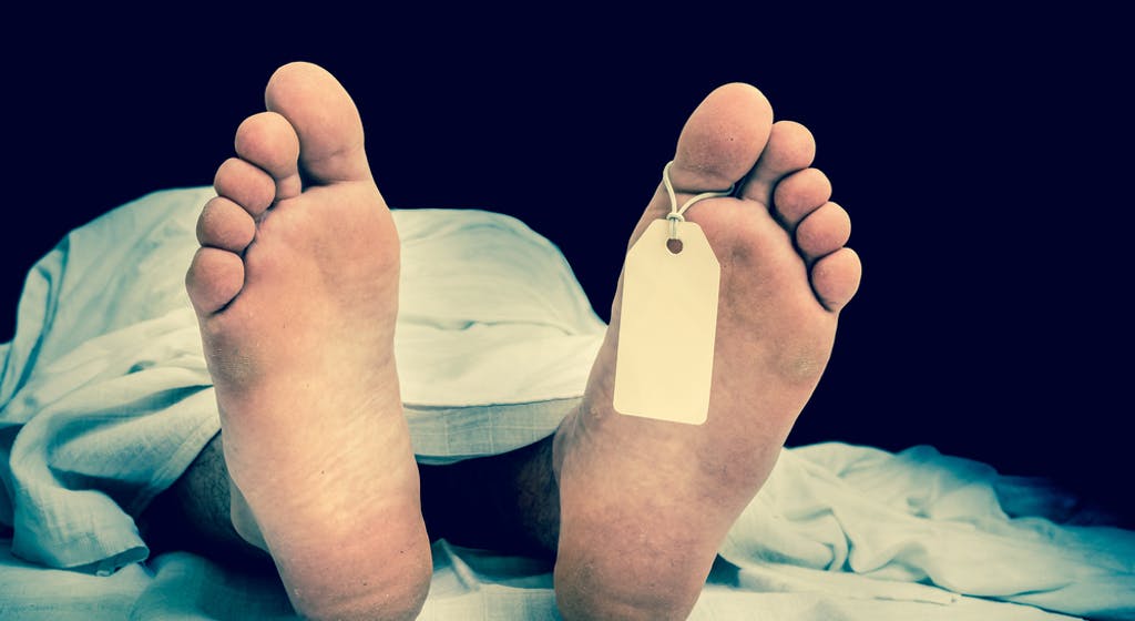 निसास्सिएर आठ पर्यटकको मृत्यु