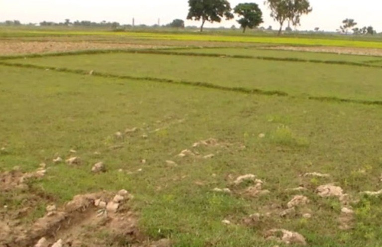 जग्गा संरक्षण आयोगको टोली दमकमा