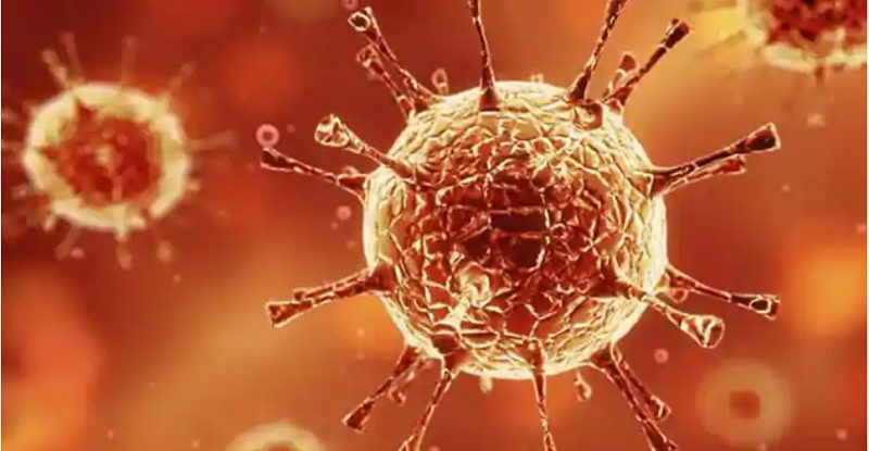 बुधबार ८८५ जनामा कोरोना संक्रमण पुष्टि