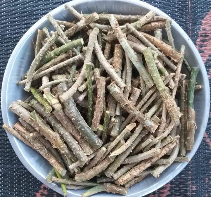 गुर्जो के हो र के छ यसको महत्व ?