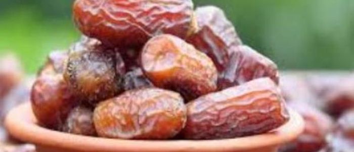 छोकडा बन्दरगाहमा रोक