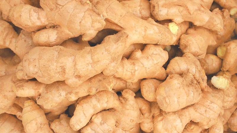 अदुवाको भाउ घट्यो, किसानमा निराशा बढ्यो