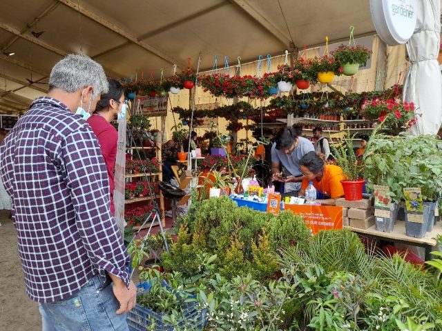 जावलाखेलमा सुरु भयो पुष्प मेला