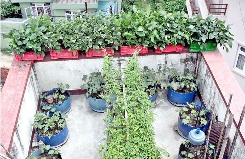मध्यपुर थिमीमा कौशी खेती मेला हुने