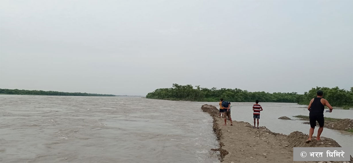 सप्तकोसीको बाँध फुट्यो, ४ हजार घर परिवार उच्च जोखिममा