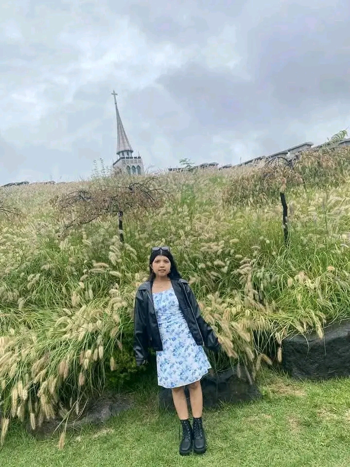 “अध्ययनका लागि दक्षिण कोरिया गएकी कमल गाउँपालिकाकी मनिषा दाहाल सडक दुर्घटनामा परी निधन”